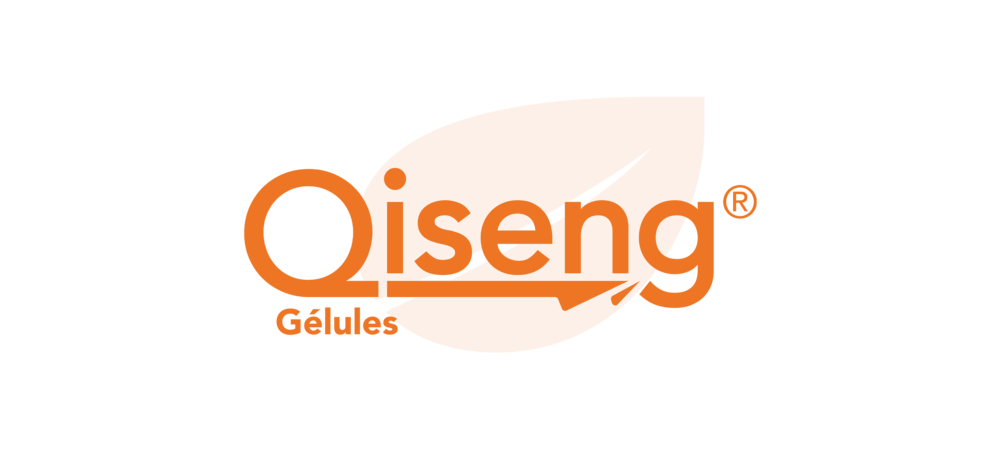 Logo QISENG