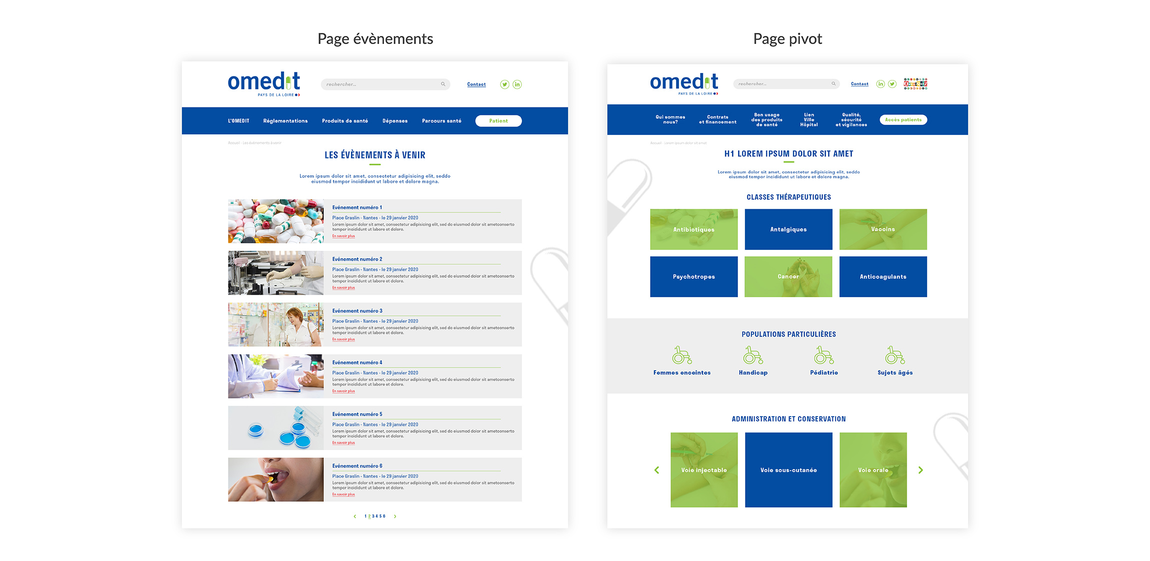 Site internet OMEDIT Pays de la Loire maquettes Digisanté