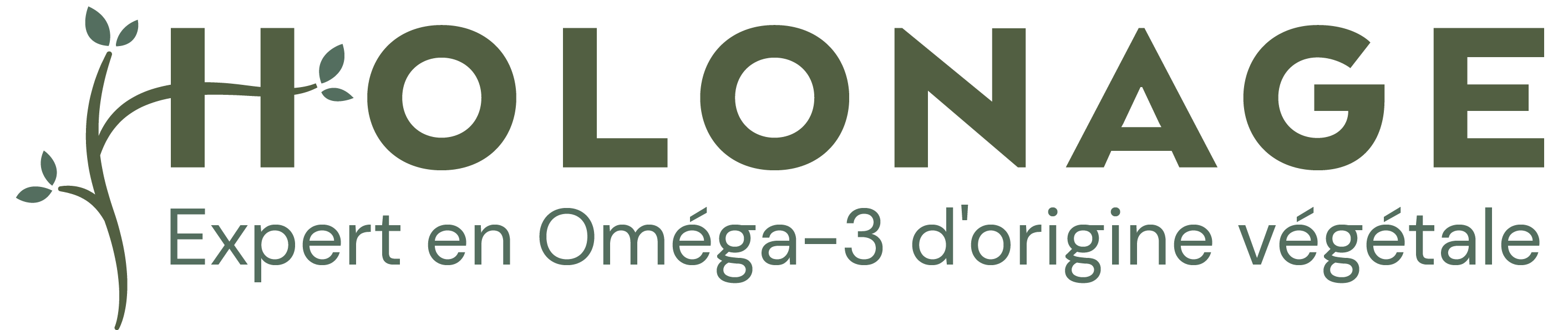 Logo Holonage