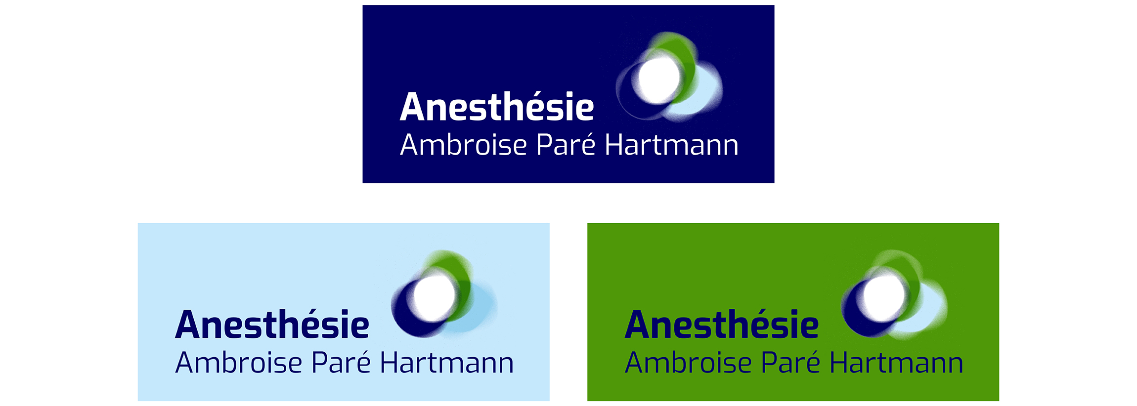 Déclinaisons de couleurs du logo Anesthésie Ambroise Paré Hartmann