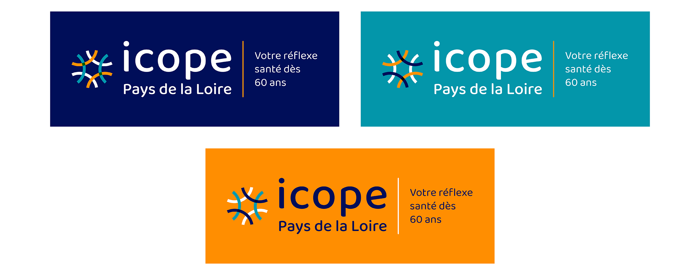Déclinaisons de couleurs du logo ICOPE Pays de Loire